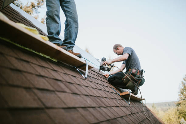 Best Metal Roofing Contractor  in Rosewood Heights, IL
